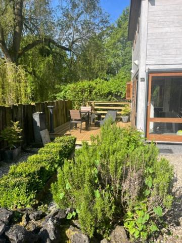 Gite Et Chambre D'Hote Gussignies Eksteriør bilde